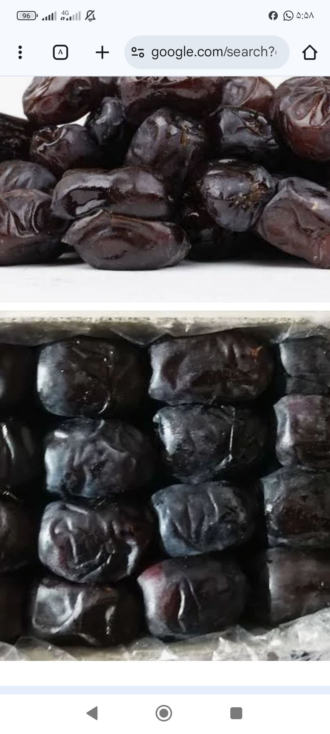 خرما مضافتی بم 