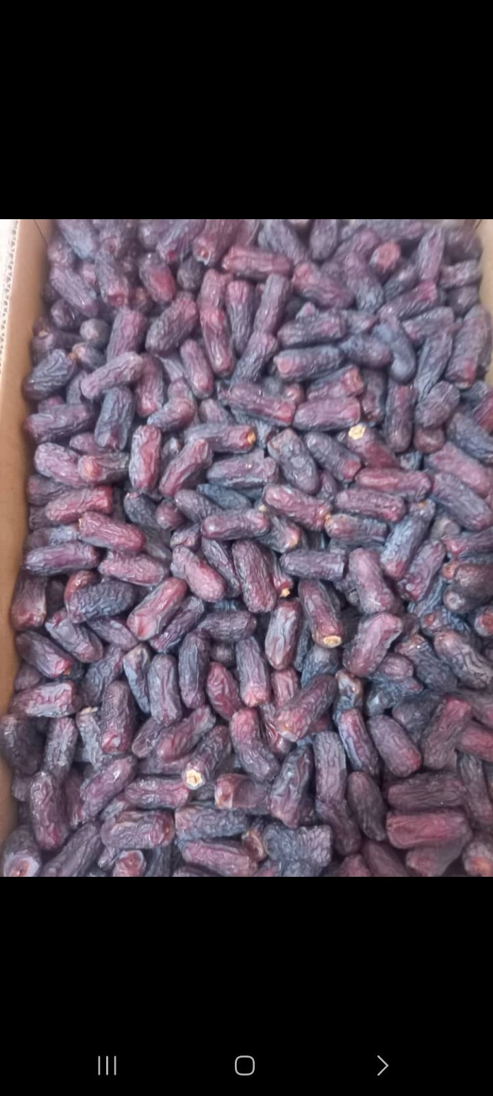 خرما پیارم