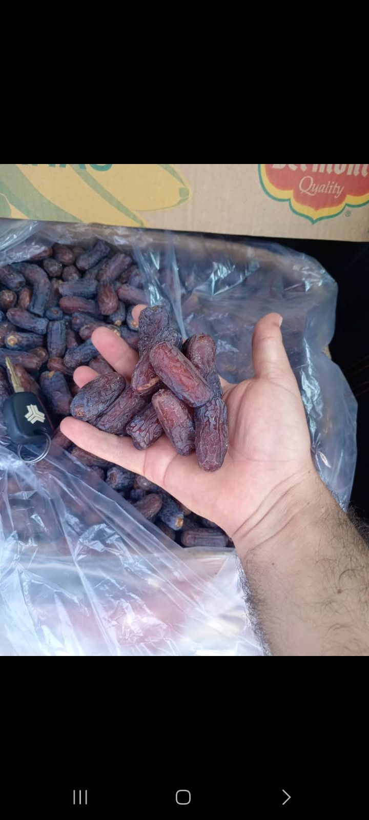 خرما پیارم