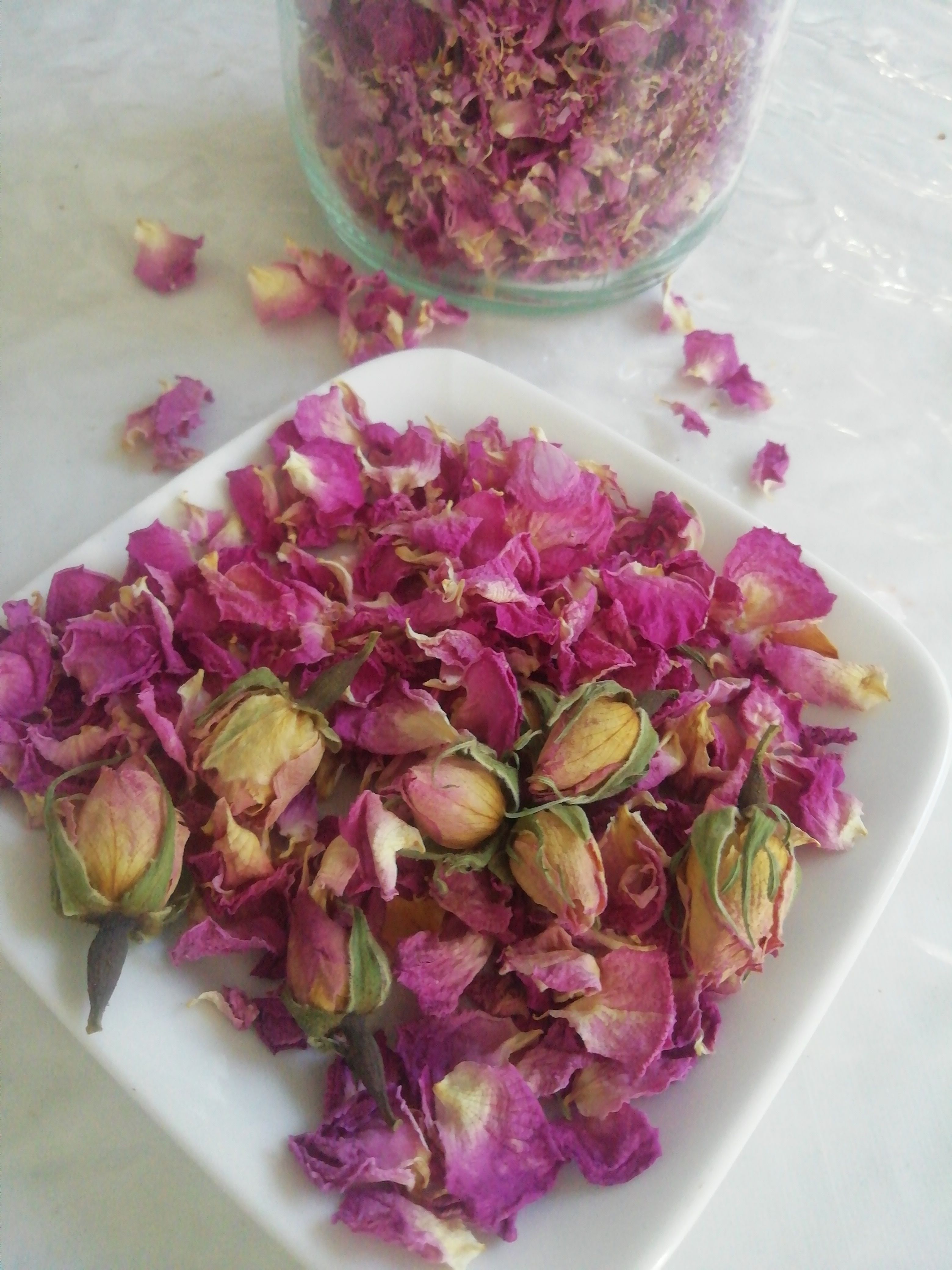 گل محمدی 