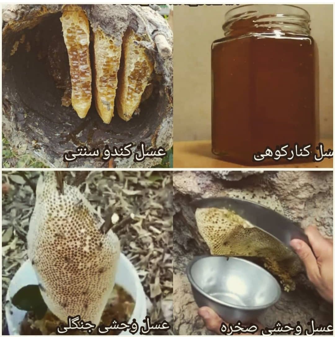 فروش عسل طبیعی کوهستان 