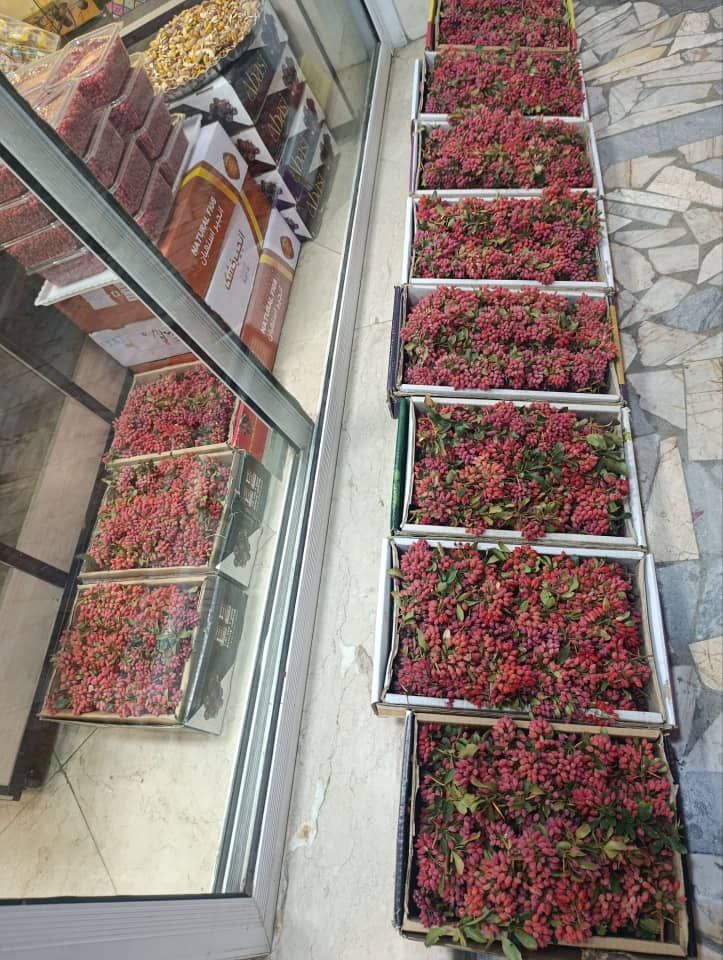 زرشک خراسان تازه خشک شده درجه 1