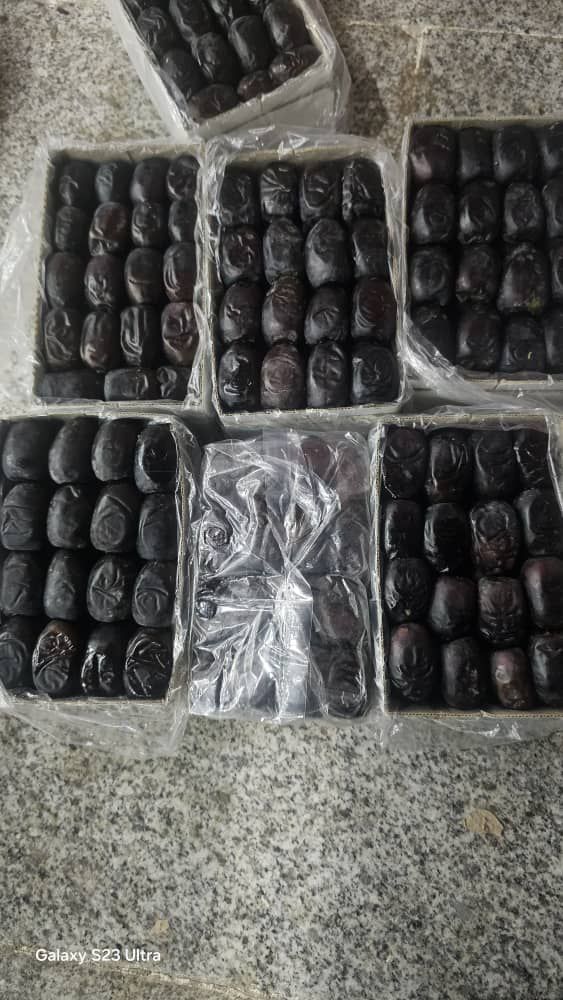 خرما درجه یک 