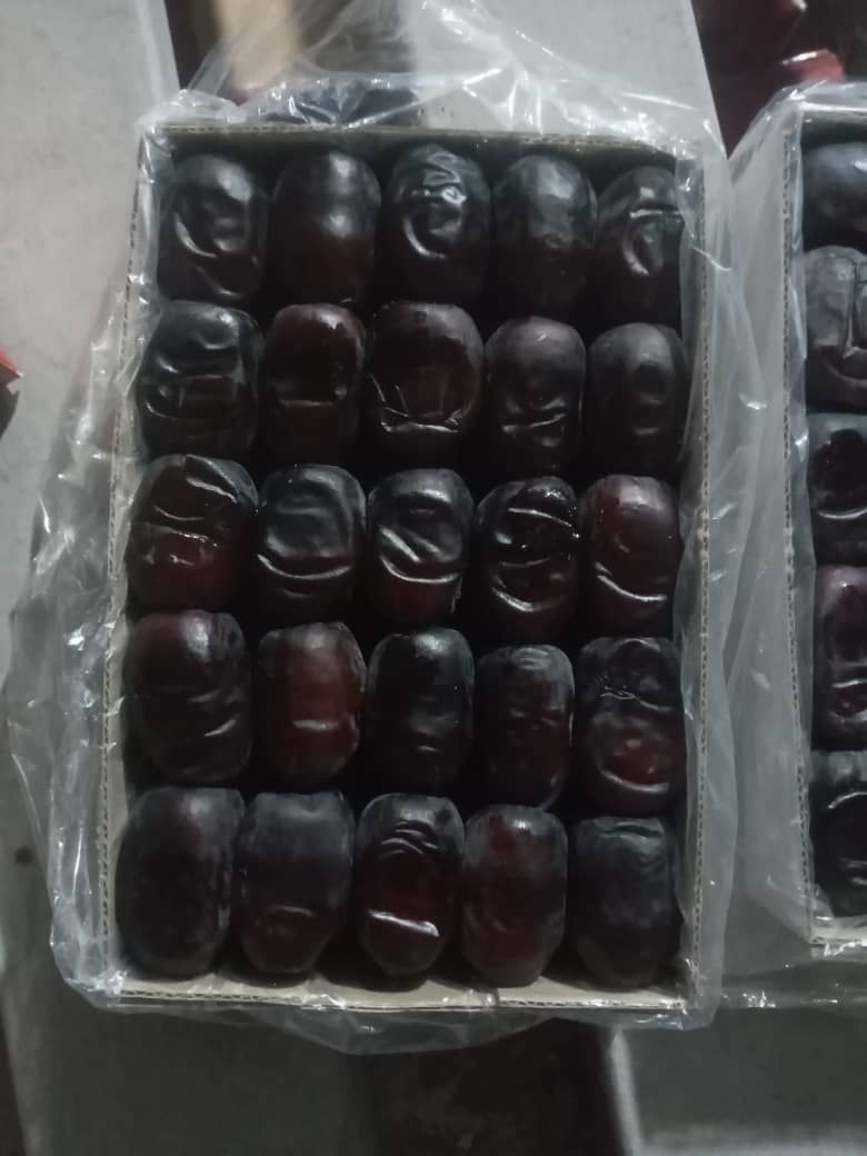 خرما درجه یک 