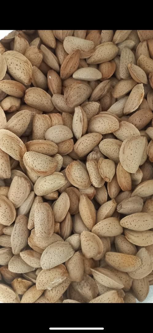 عرضه انواع بادام با کیفیت