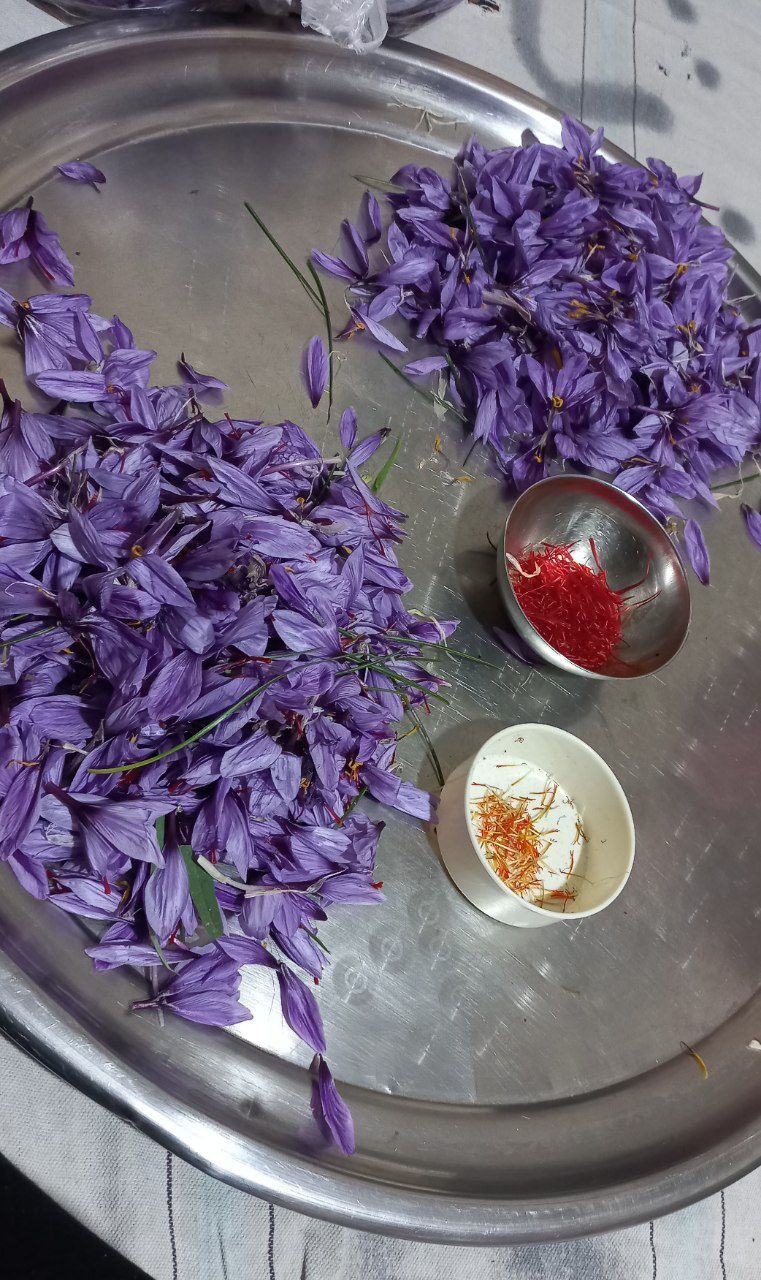زعفران اصیل ایرانی 