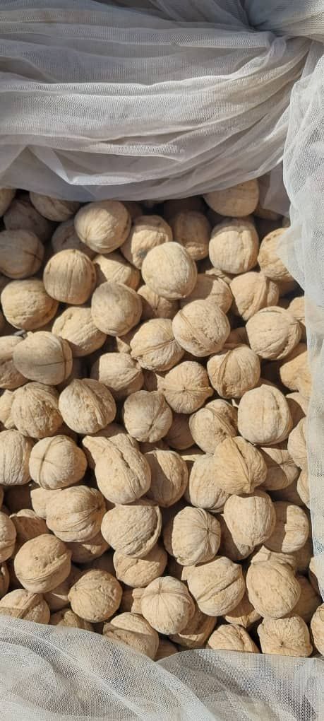 آجیل و خشکبار