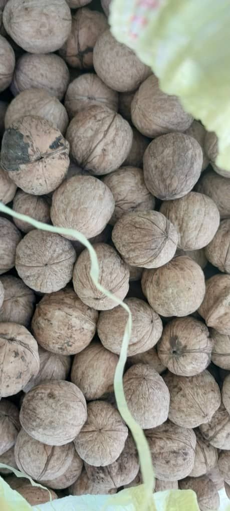 آجیل و خشکبار