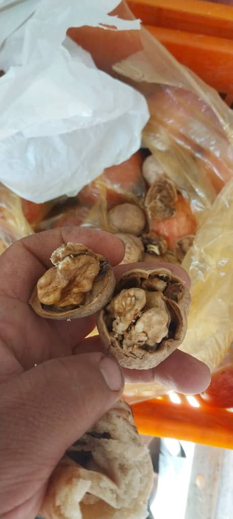 آجیل و خشکبار
