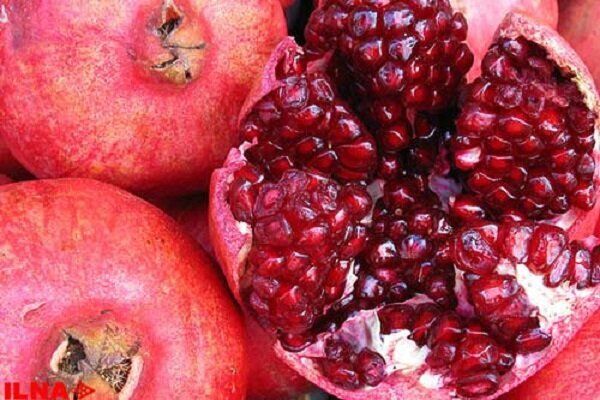 فروش انار درجه‌یک پاوه از اقلیم کردستان