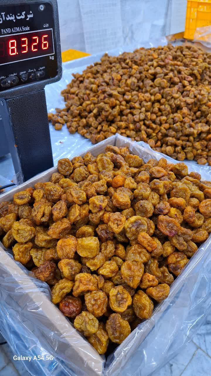 تولید و بسته‌بندی انواع خشکبار 