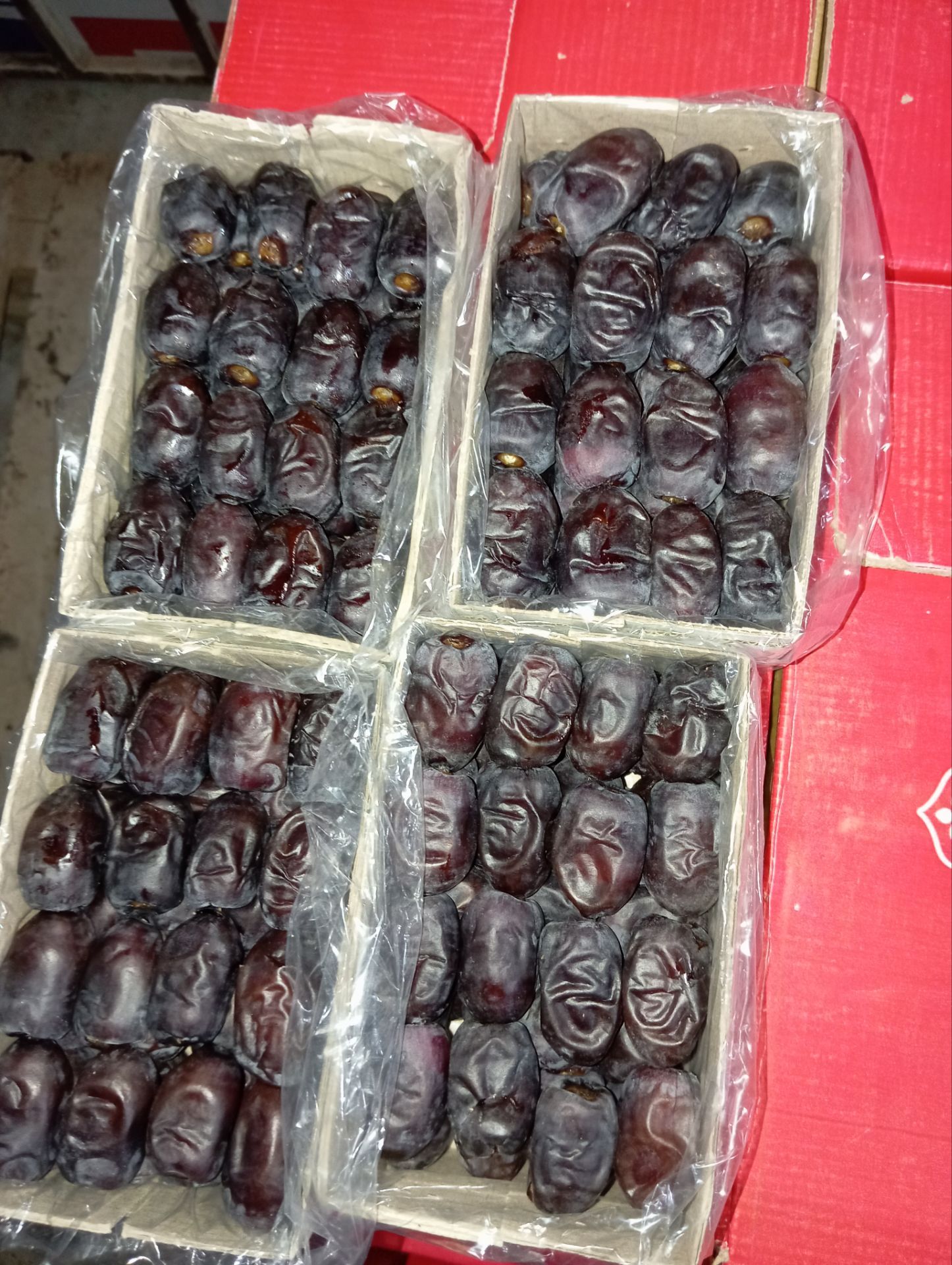 خرمای مضافتی بم  