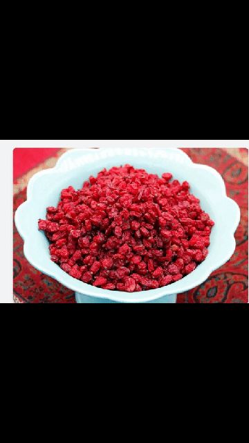 زرشک ایرانی/ iranian barberry