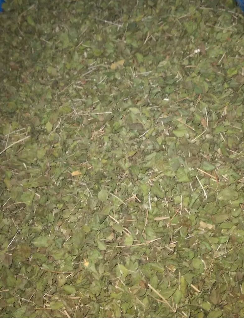 فروش محصولات گیاهی و عطاری