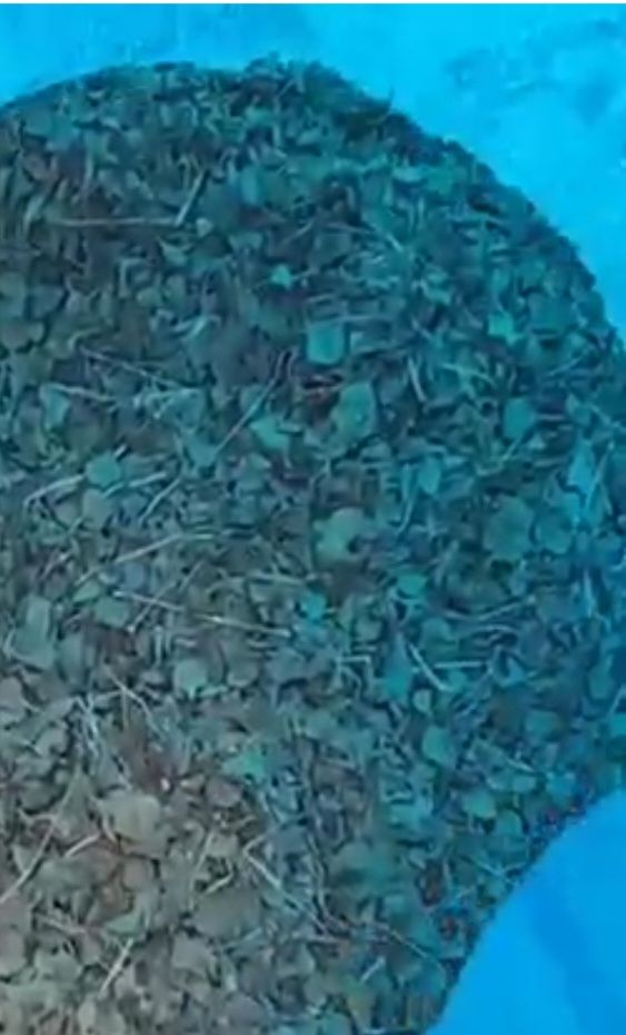 فروش محصولات گیاهی و عطاری