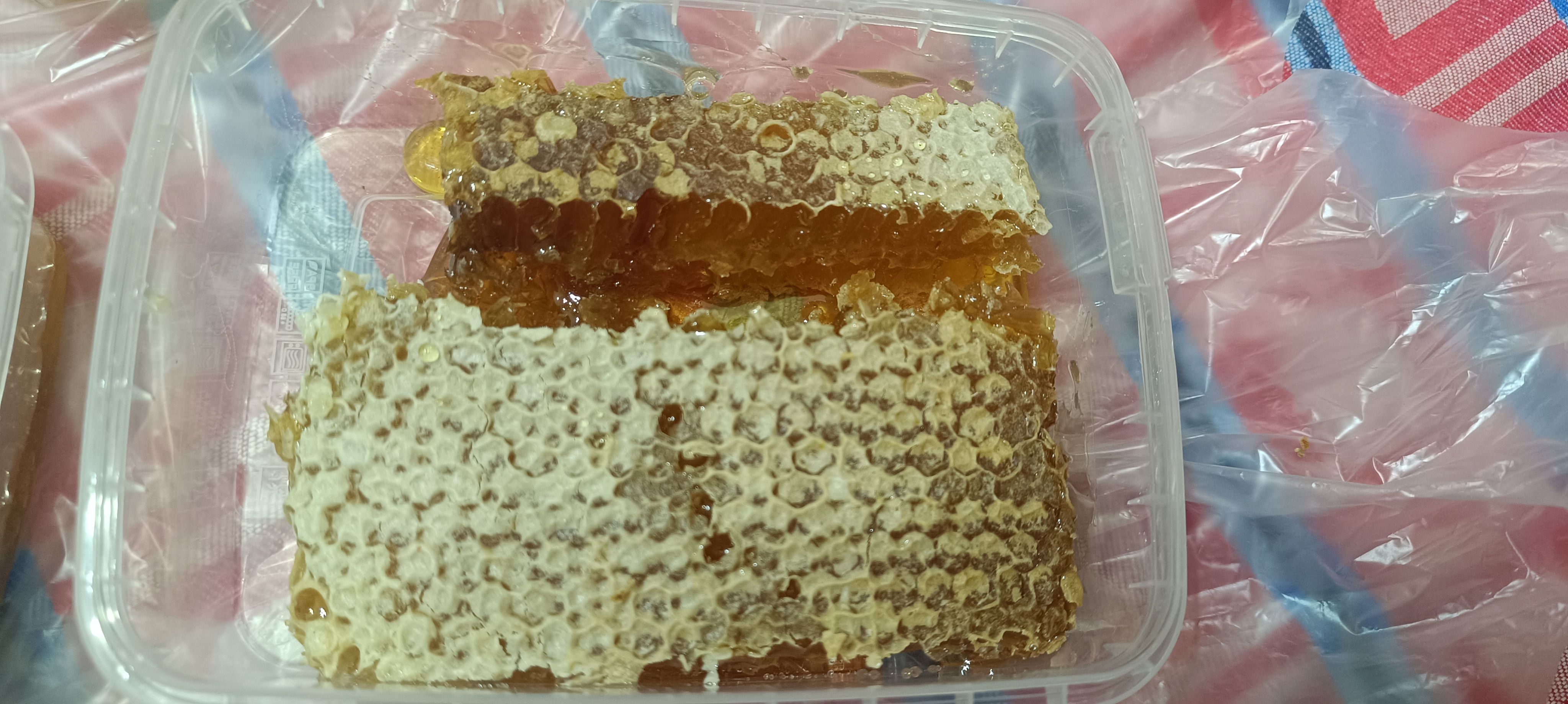 فروش عسل برداشت کندو