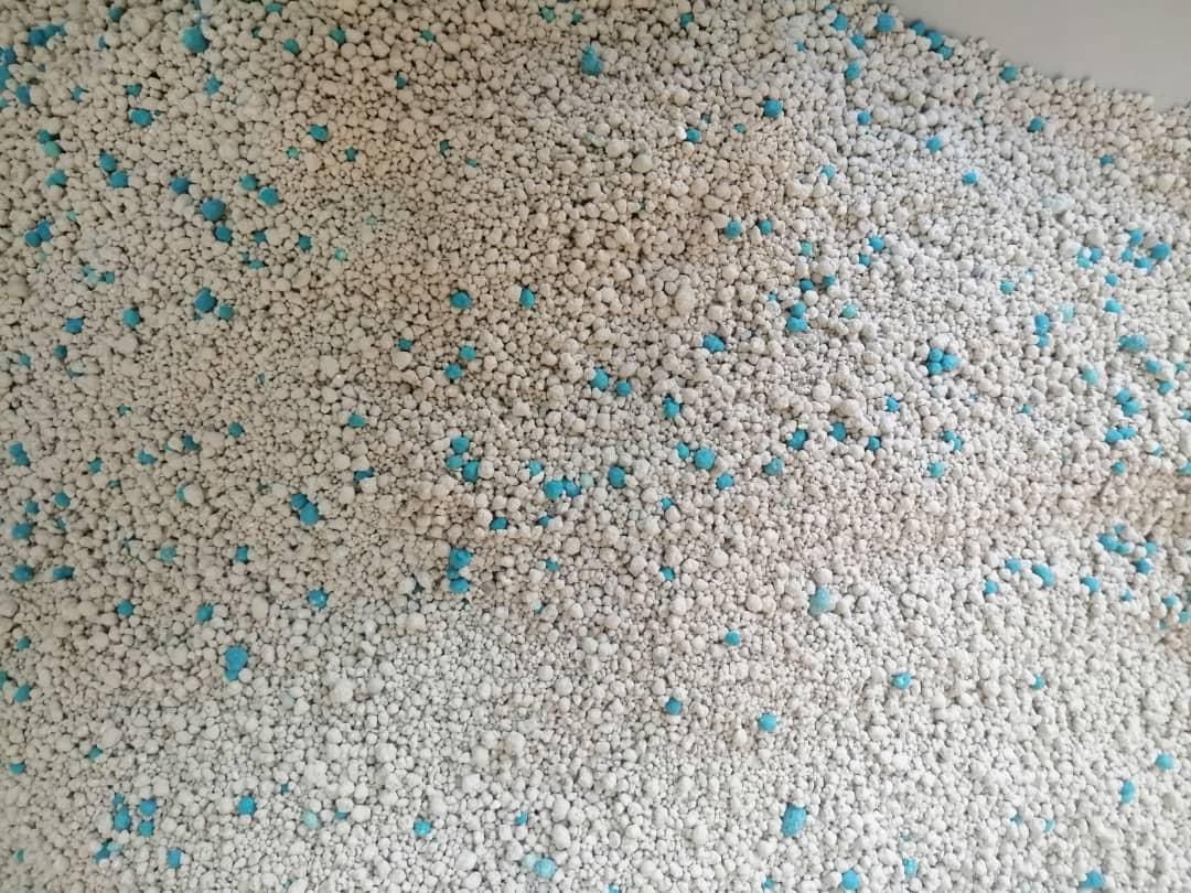 خاک گربه 