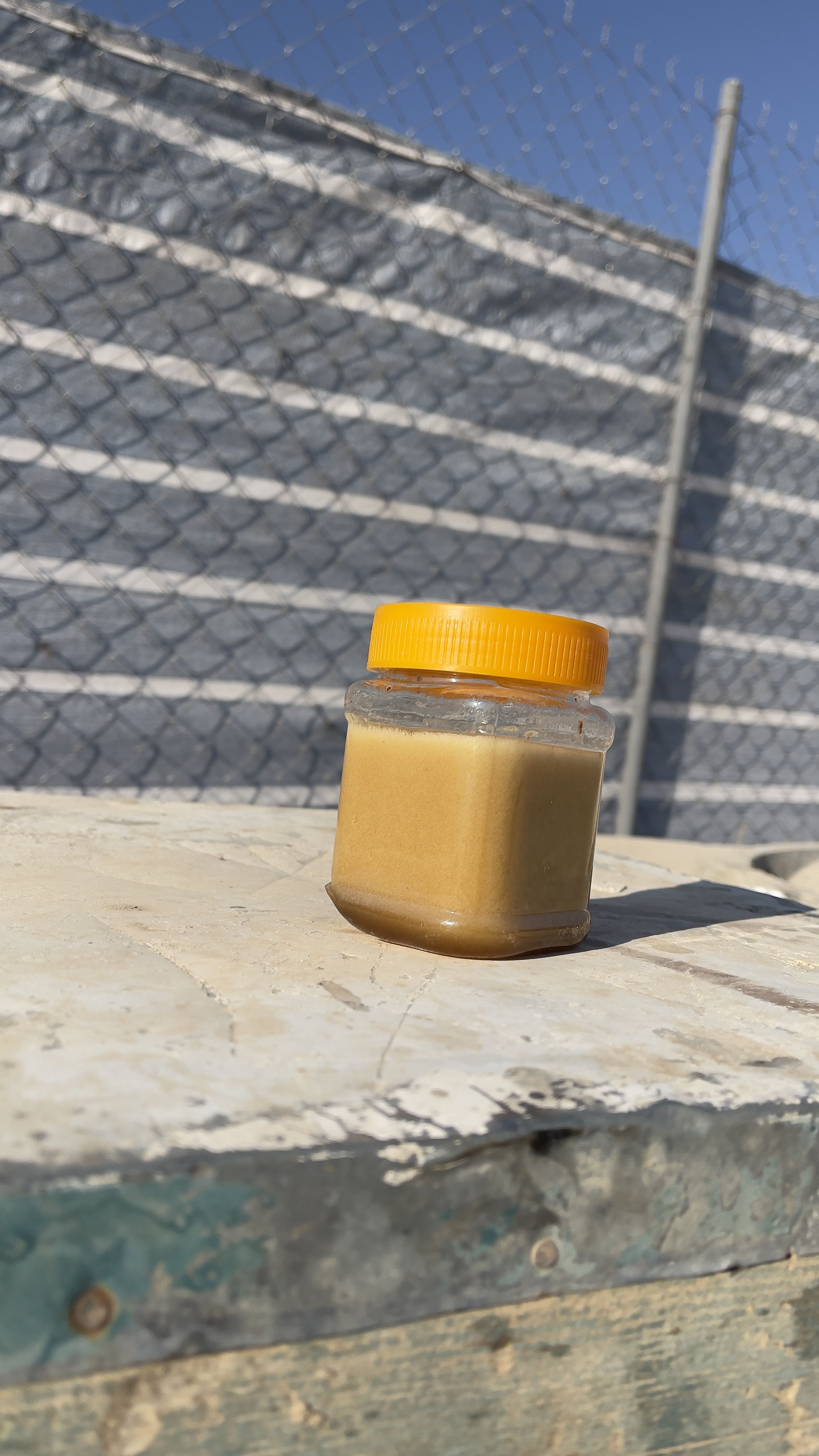 عسل کنار(سدر)