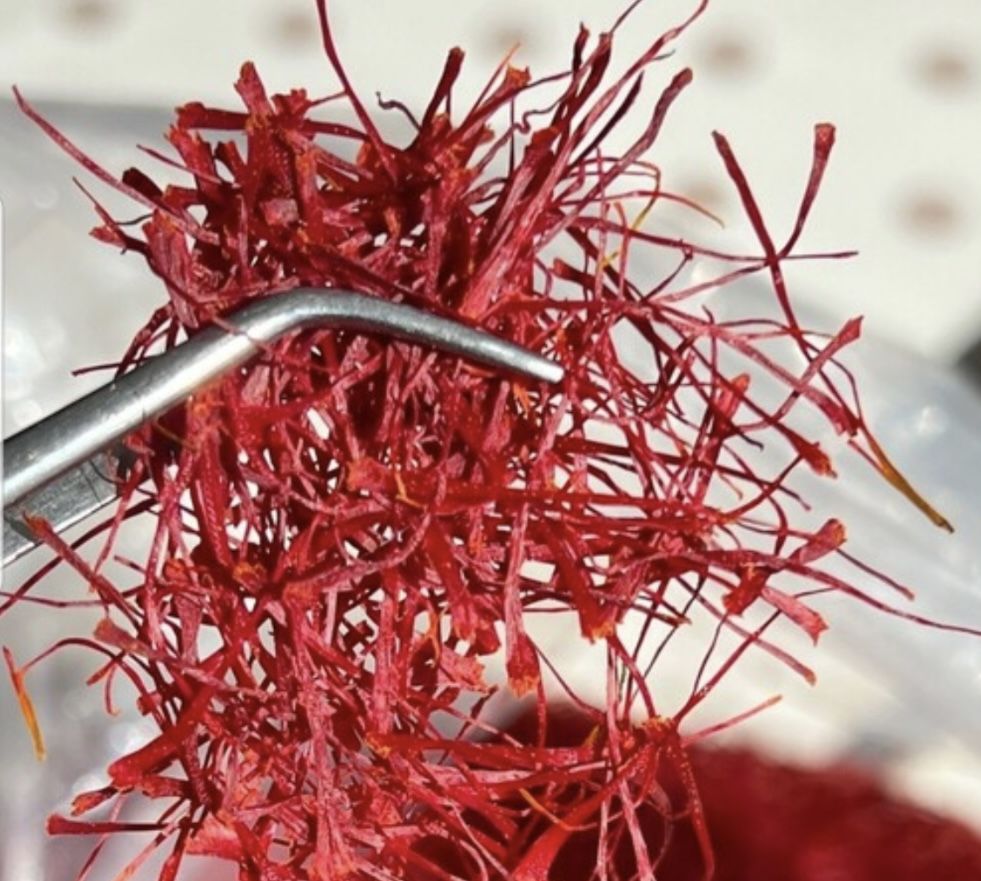 (زعفران)saffron