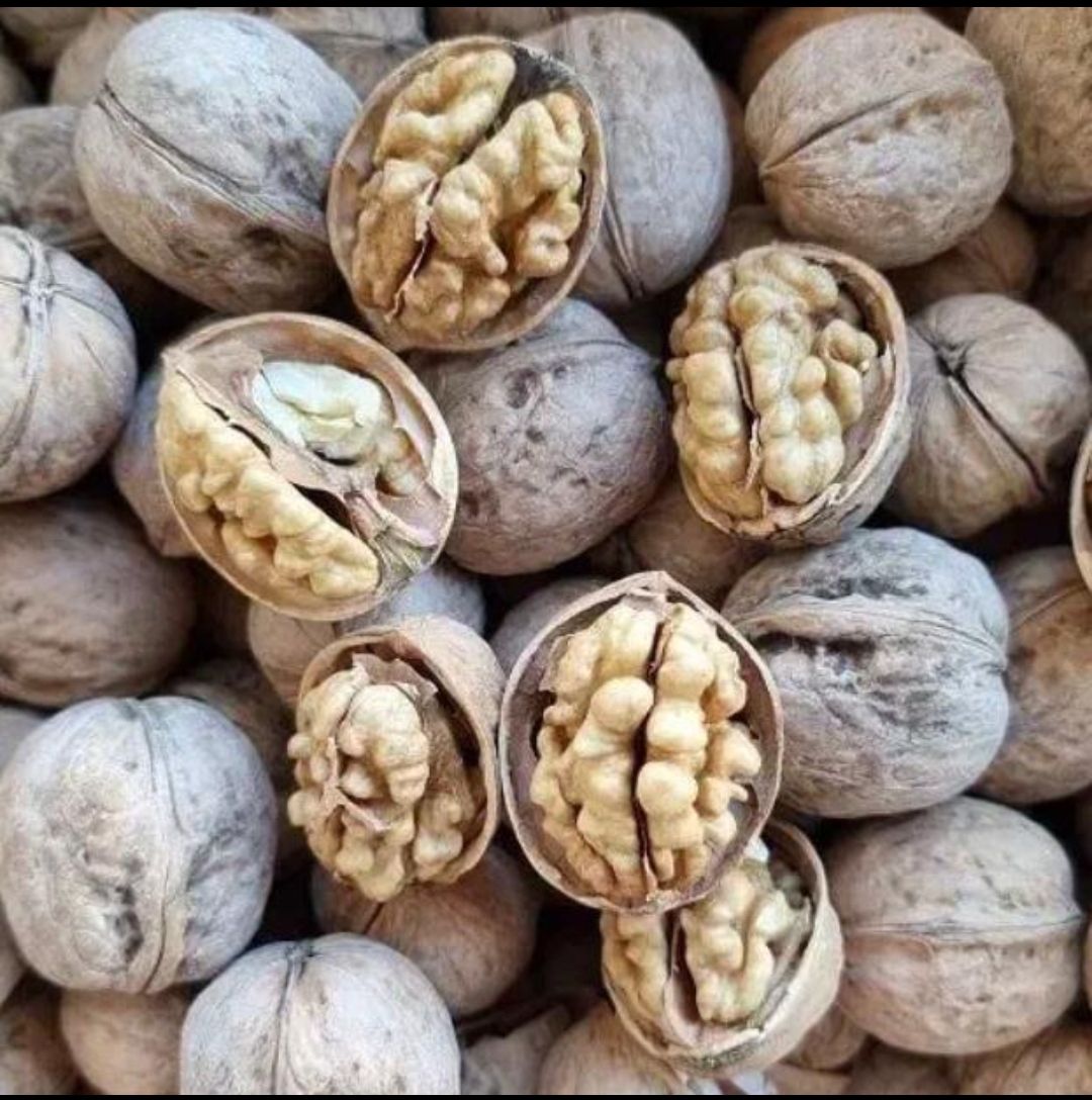 سبزی خشک و پسته و گردو