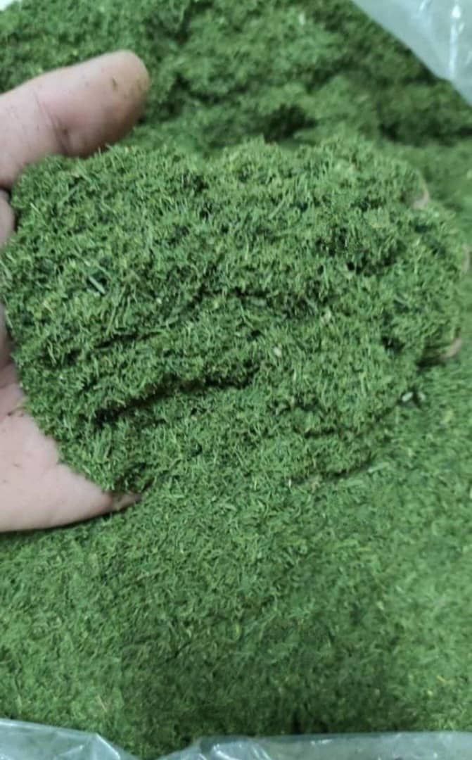 سبزی خشک و پسته و گردو