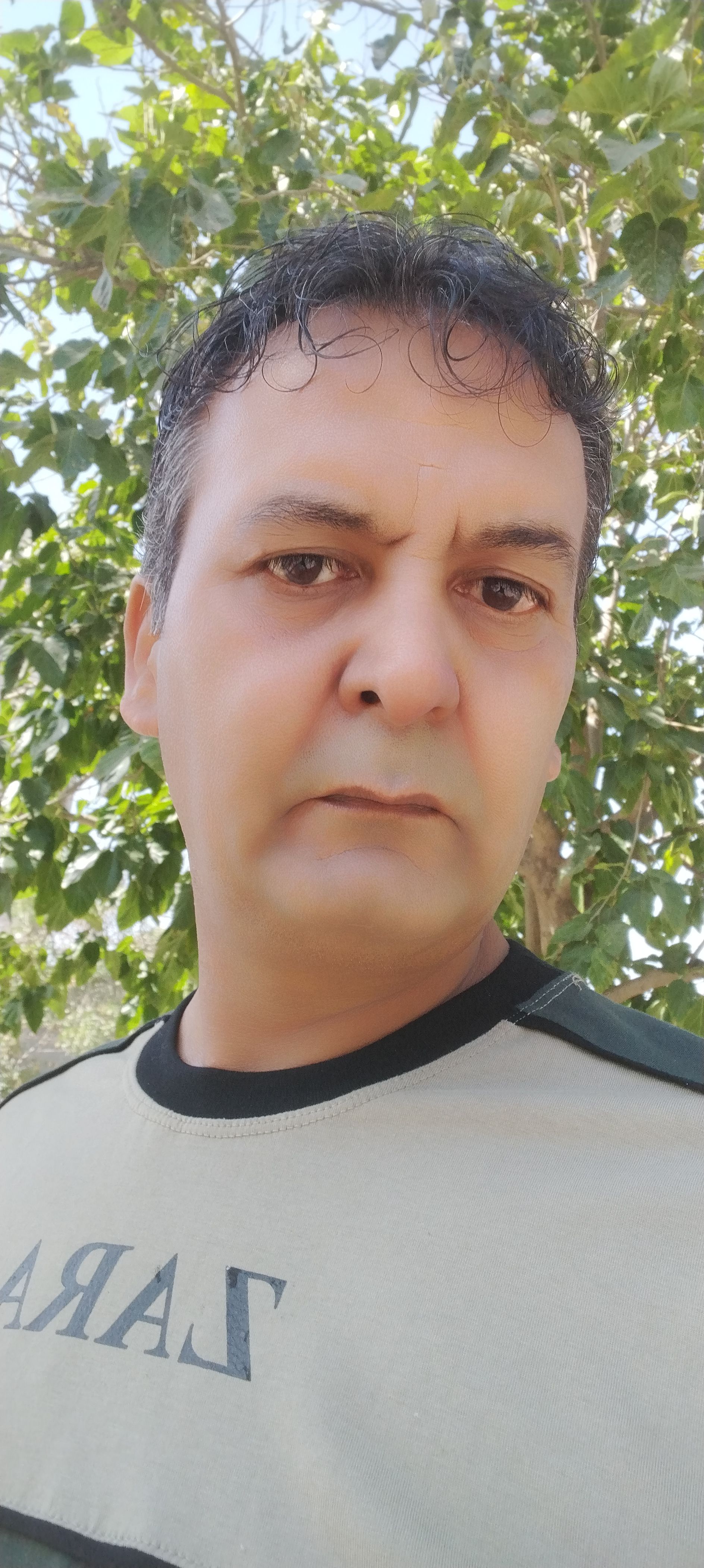 درخواست همکاری نوازنده حرفه ای 