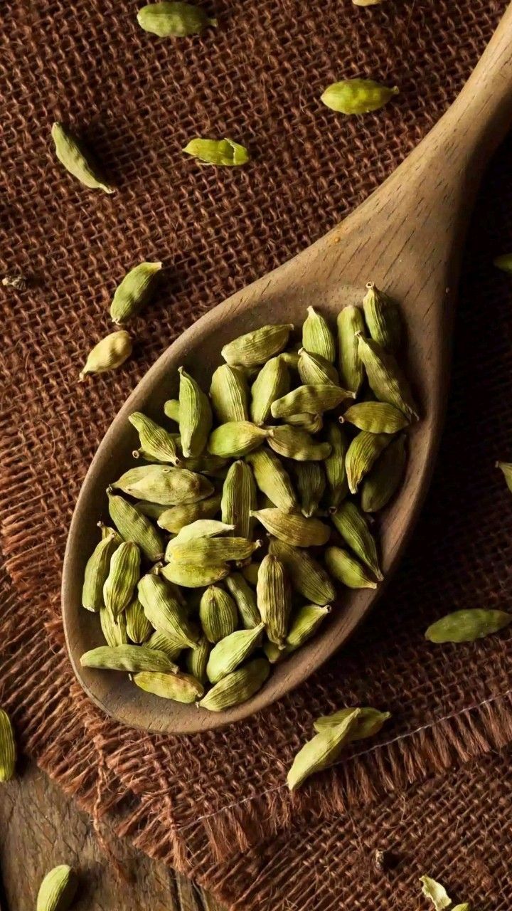 فروش هل تازه اعلا خوش بو‌ و سبز