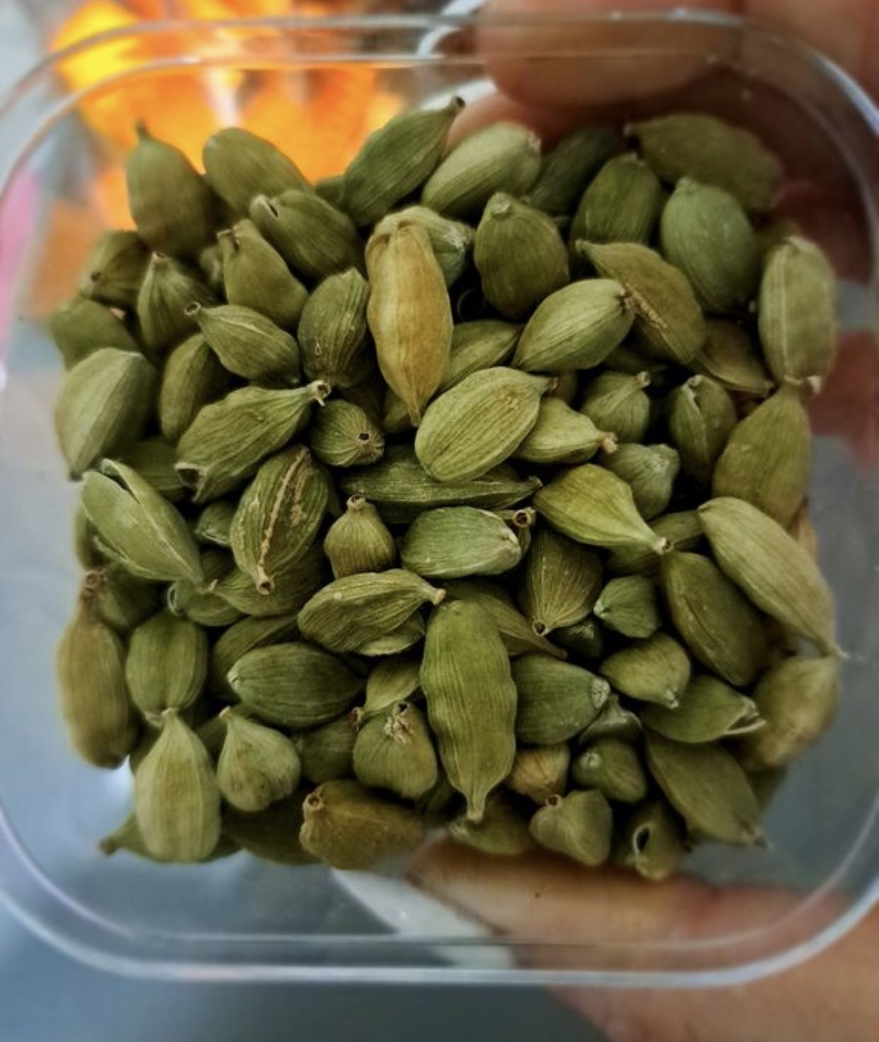 فروش هل تازه اعلا خوش بو‌ و سبز