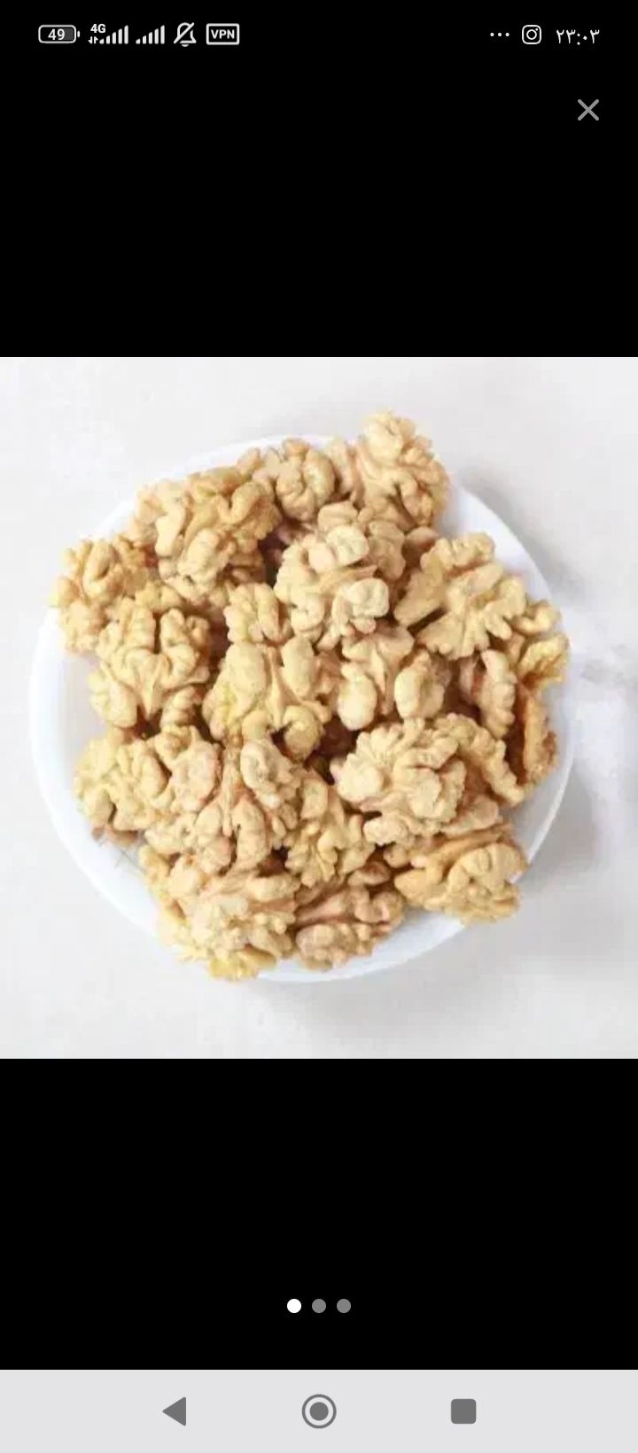 مغزگردو