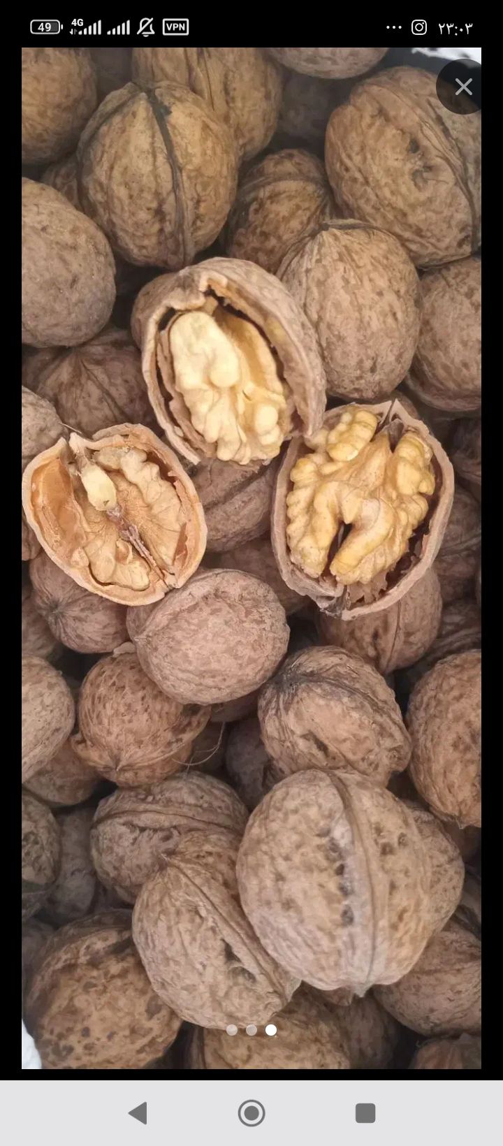 مغزگردو
