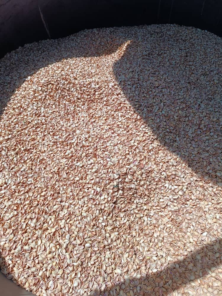 کربن پوست پسته