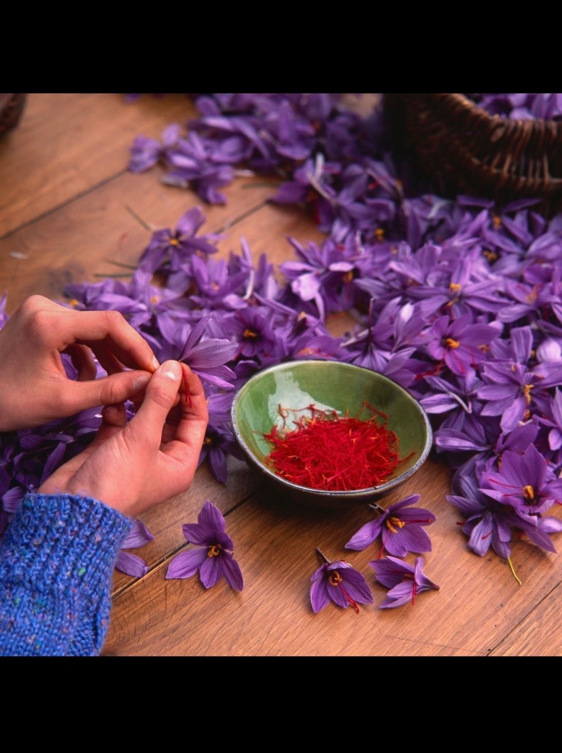 زعفران خراسان – طلای سرخ ایران