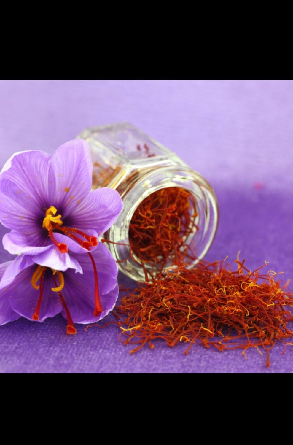 زعفران خراسان – طلای سرخ ایران