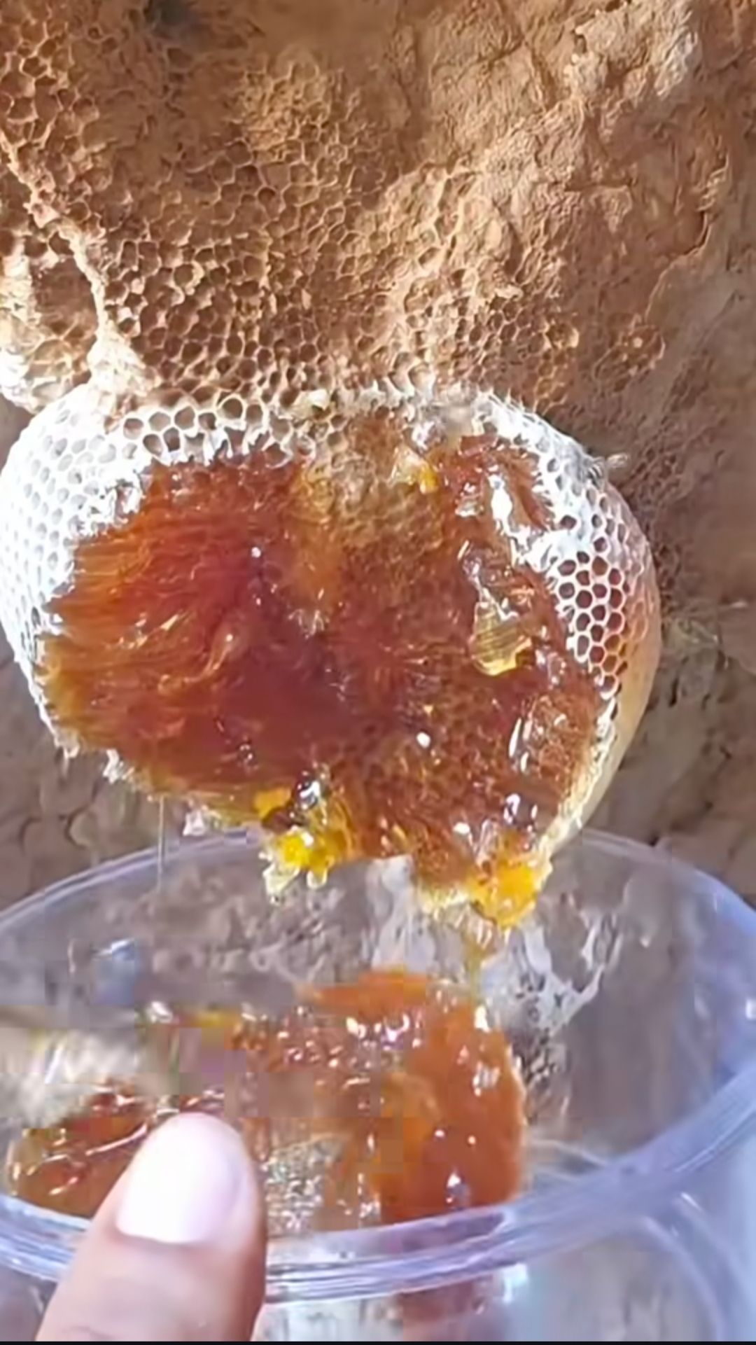 عسل طبیعی 