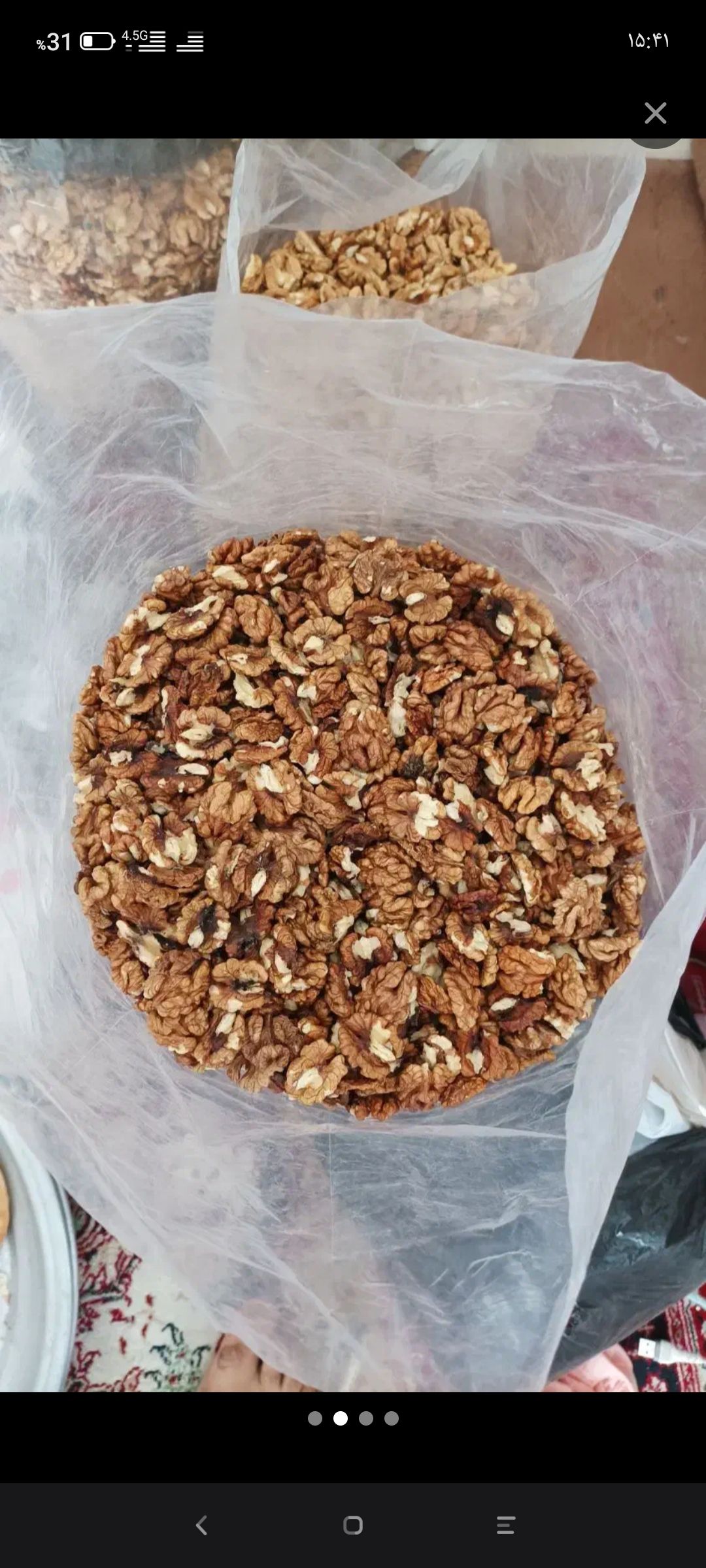 مغز گردو