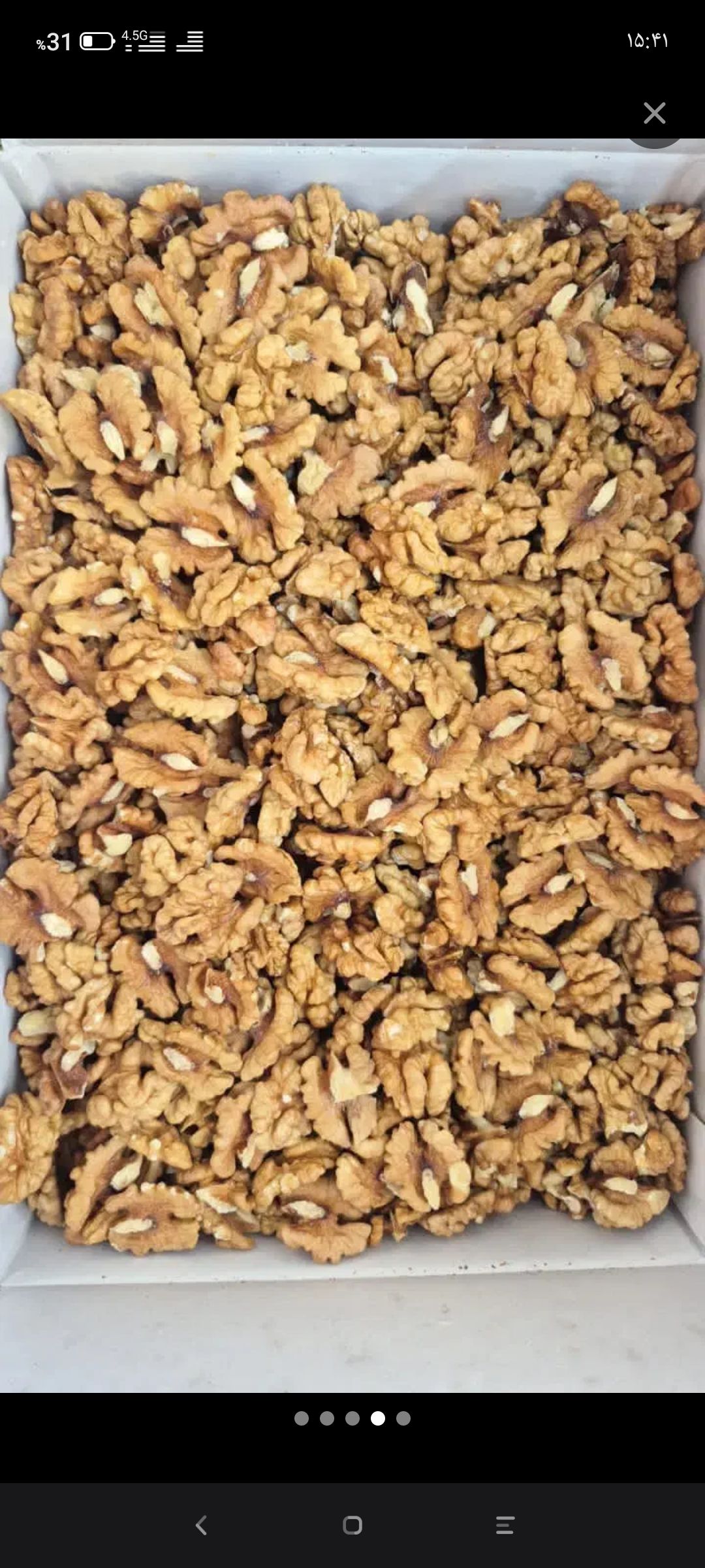 مغز گردو