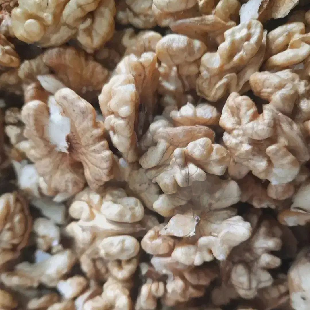 مغز گردو