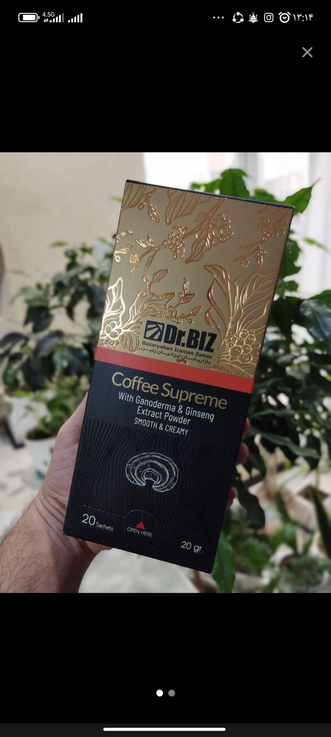 قهوه گانودرما 
