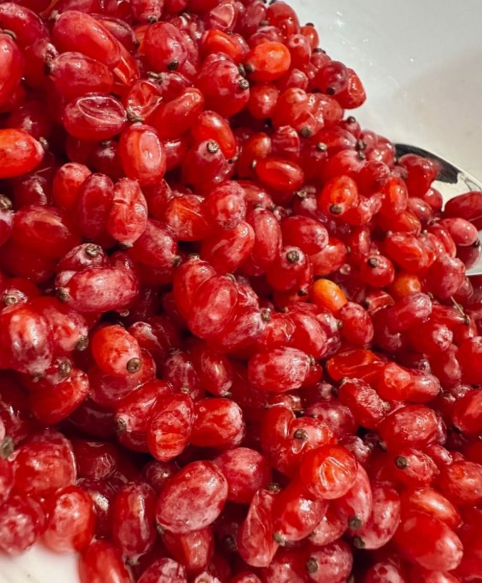 فروش زرشک اعلا درجه 1