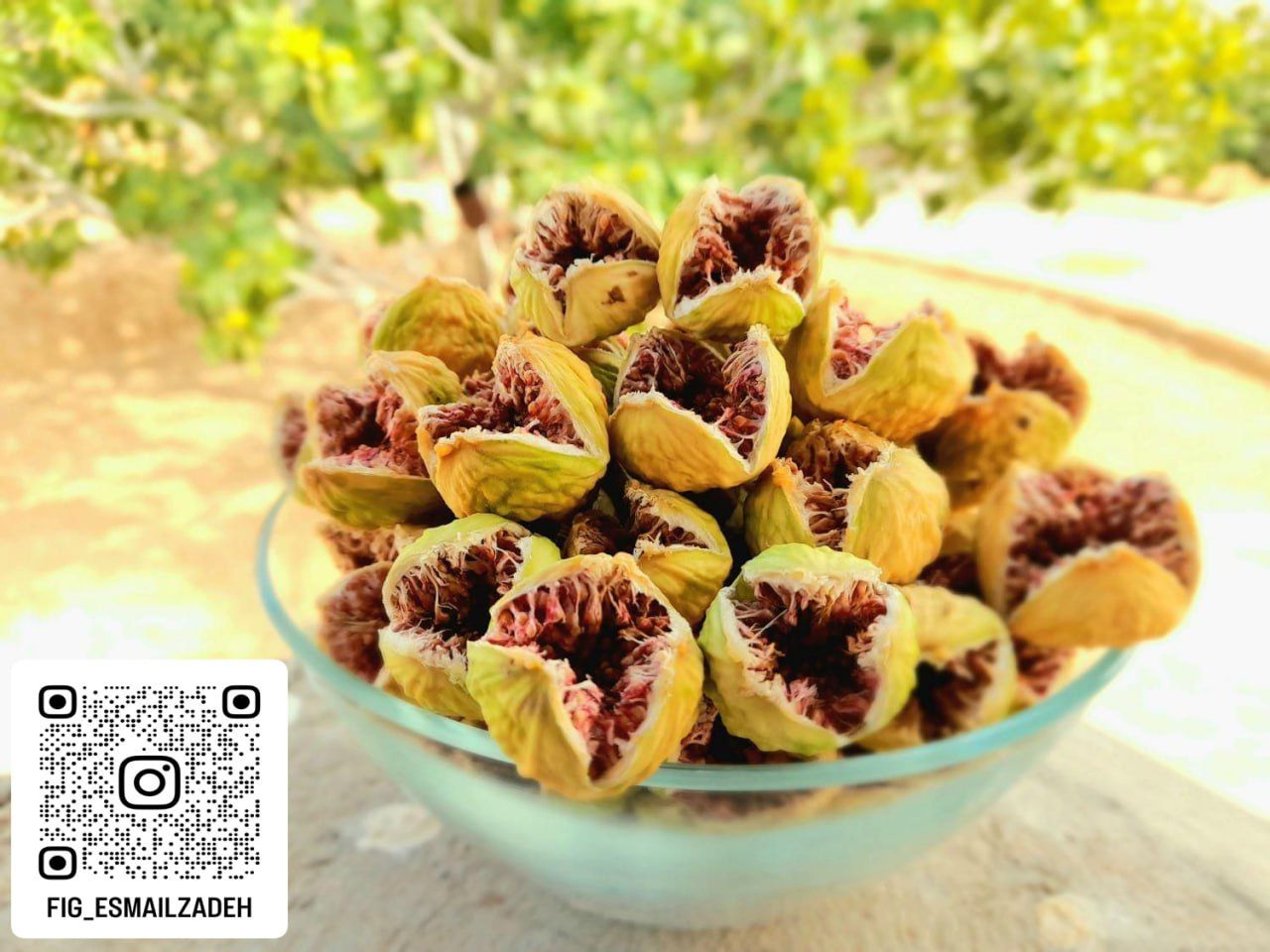 انجیر استهبان
