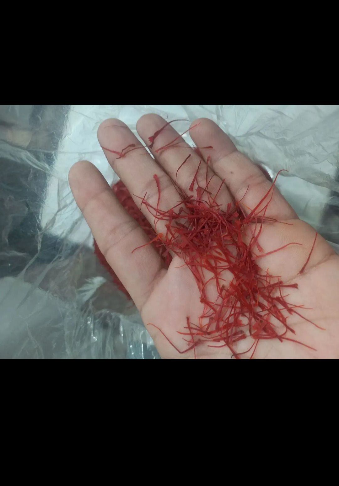 زعفران اصل (خراسان رضوی)