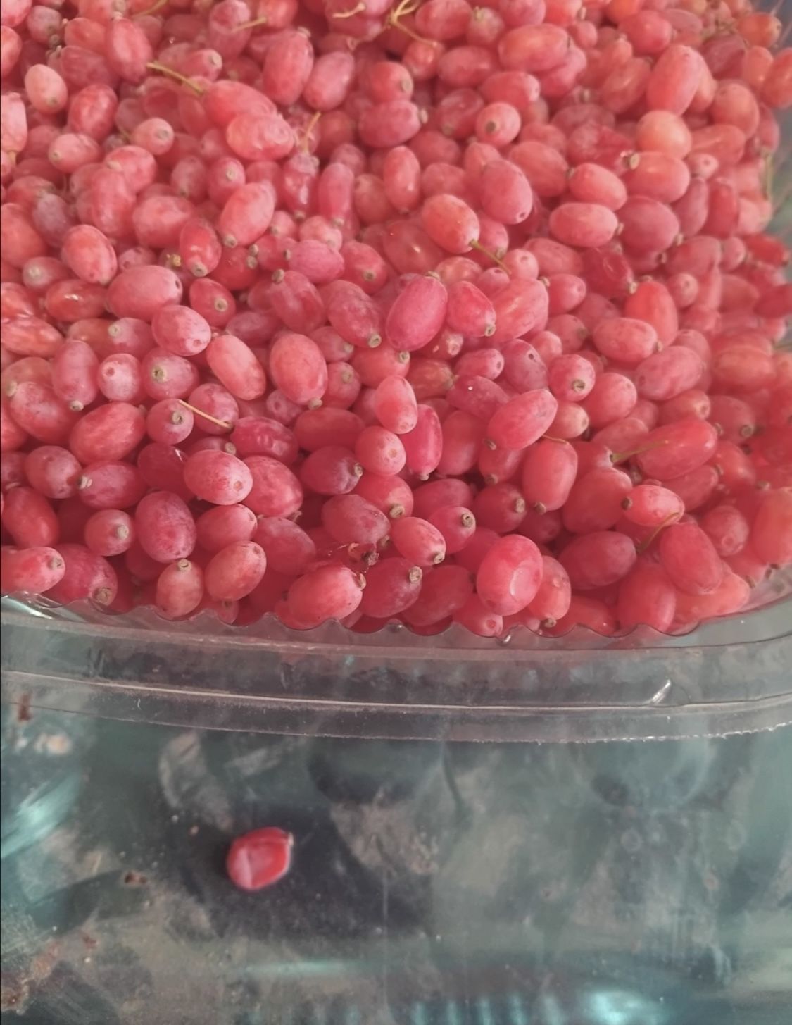محصولات درجه یک خراسان 