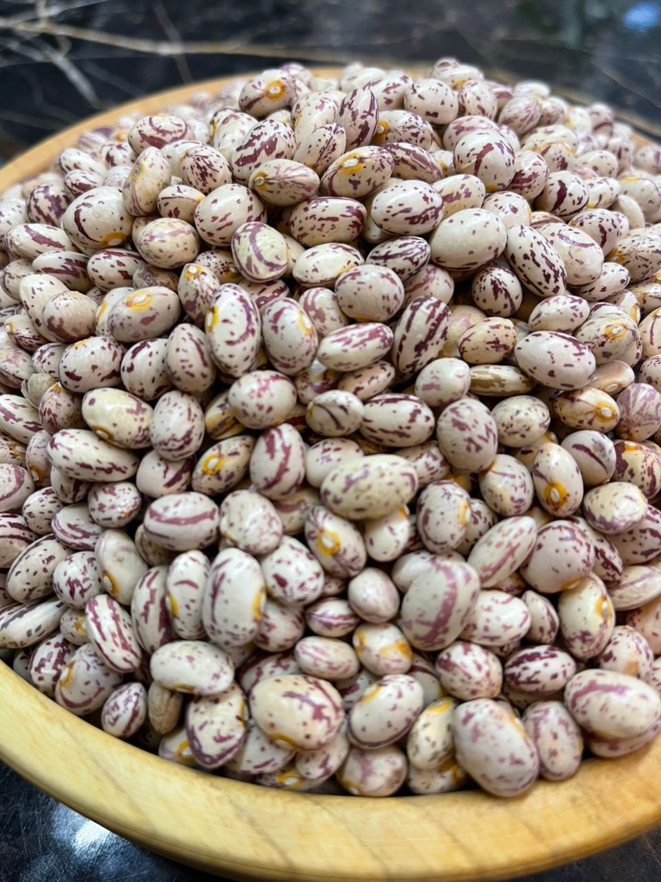 لوبیا چیتی