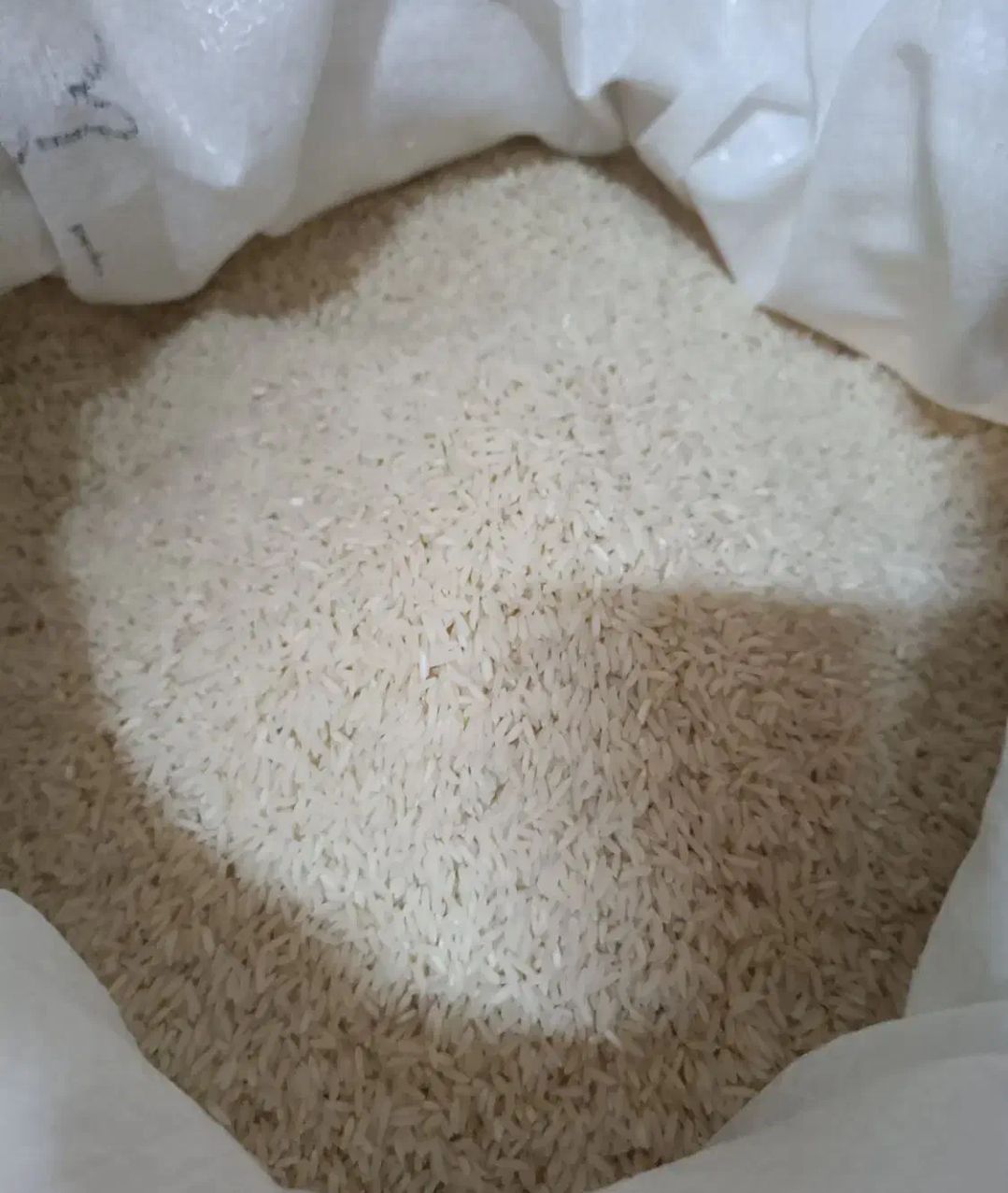 برنج هاشمی گیلان