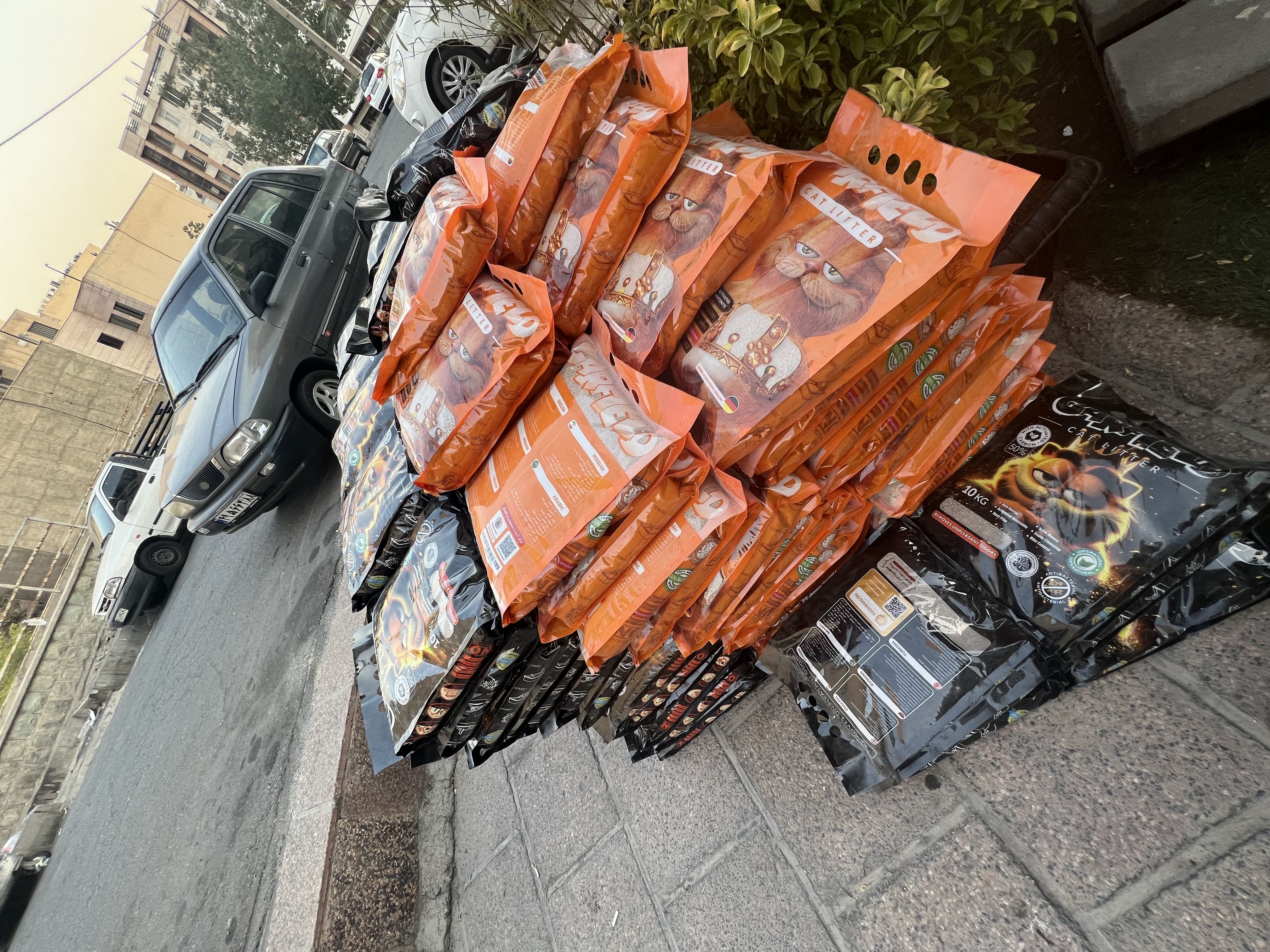 خاک گربه با کیفیت