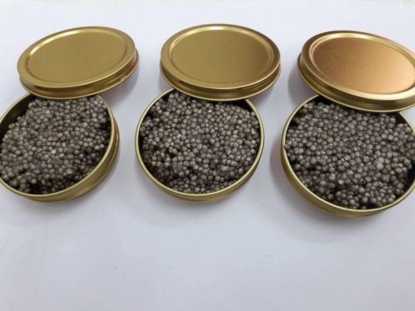 Caviar ،خاویار