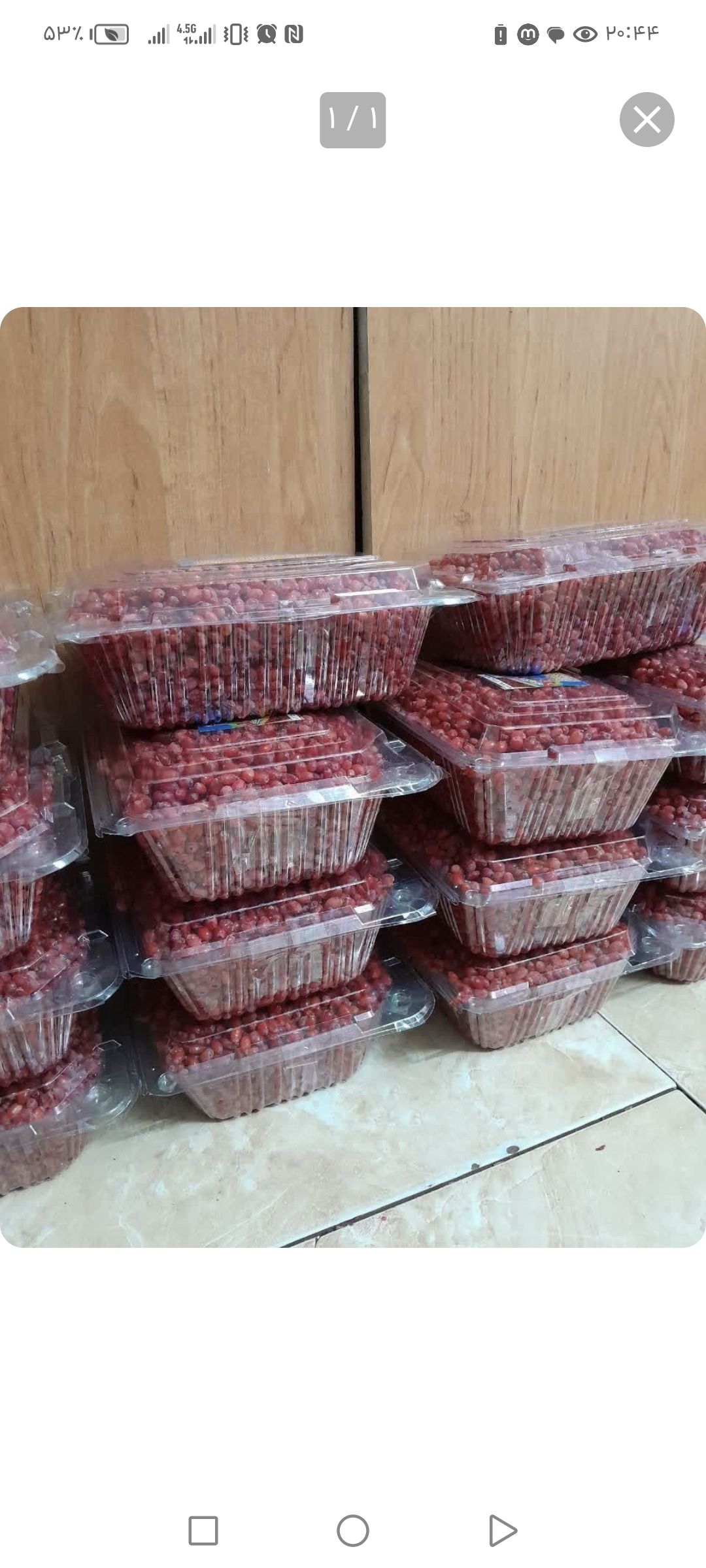 فروش زرشک درجه یک ایرانی 