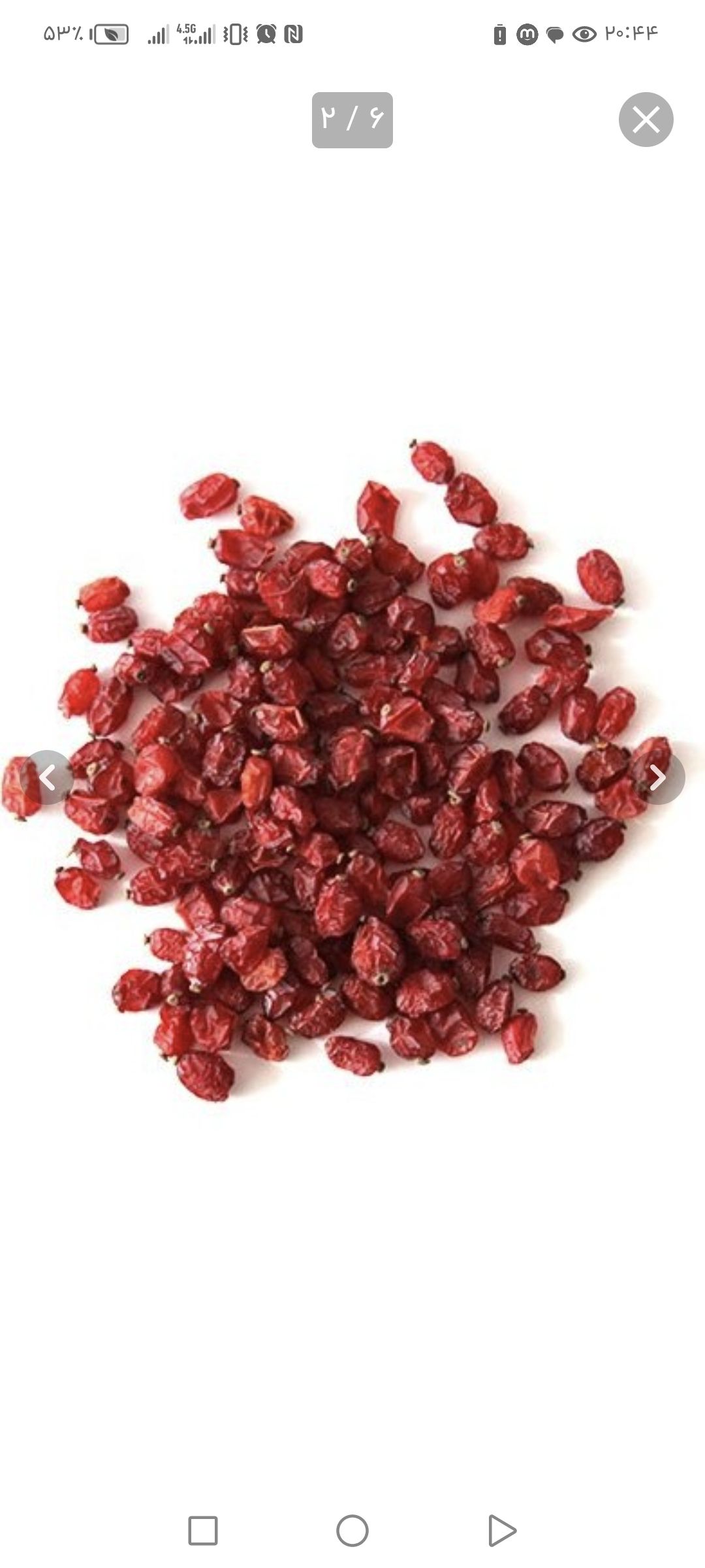 فروش زرشک درجه یک ایرانی 