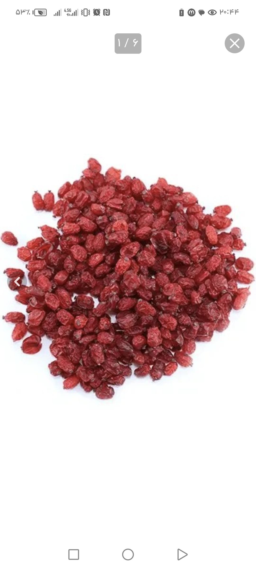 فروش زرشک درجه یک ایرانی 