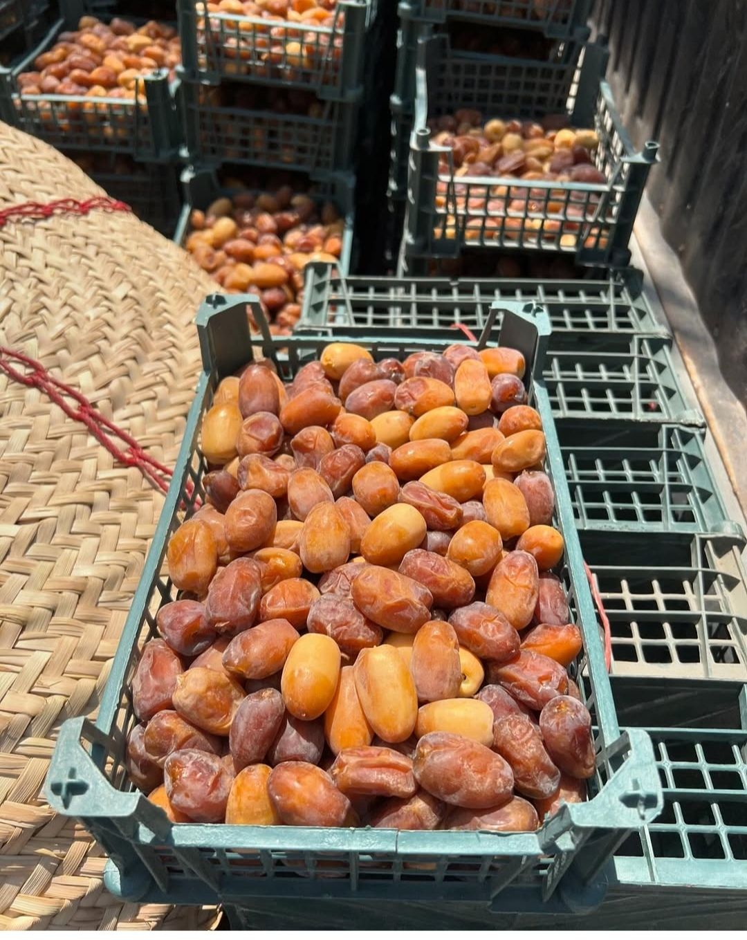 خرمای اصیل ایرانی